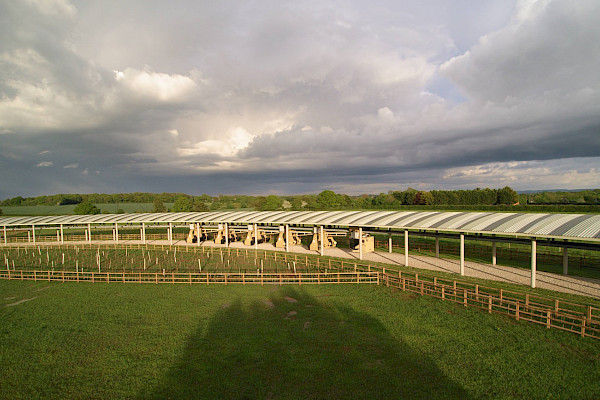 Automatisierte Trainingsanlage für Pferde