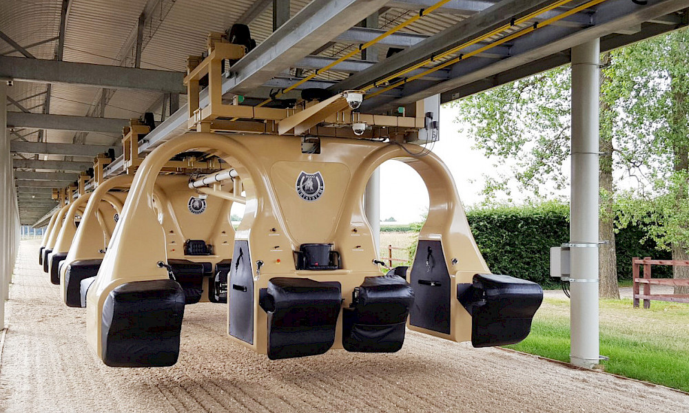 Automatisierte Trainingsanlage für Pferde