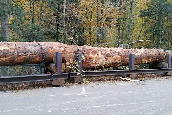 Sicherheitssystem für Leitplanken