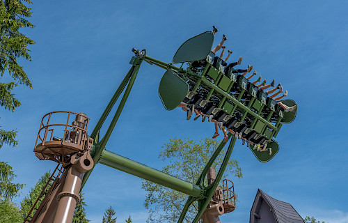 Wild Swing im Fantasiana eröffnet