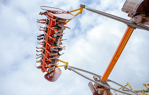 Die erste „Wild Swing“ in UK heißt Familien im Paultons Park willkommen