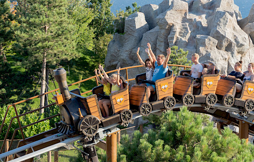 Family Thrill Coaster