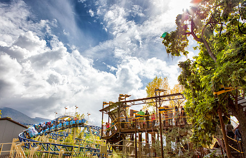 Family Thrill Coaster