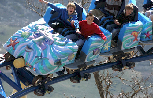 Family Thrill Coaster
