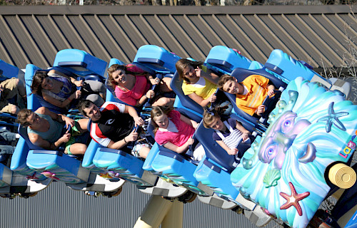 Family Thrill Coaster
