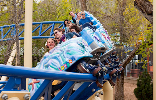 Family Thrill Coaster